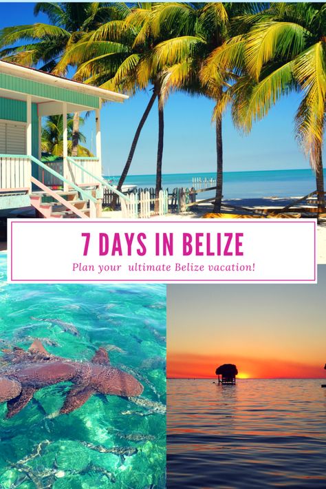 Things To Do In Belize, Belize Travel Guide, 7 Day Itinerary, Belize Vacation, Travel Central America, Central America Destinations, Belize Vacations, Belize Resorts, Caye Caulker