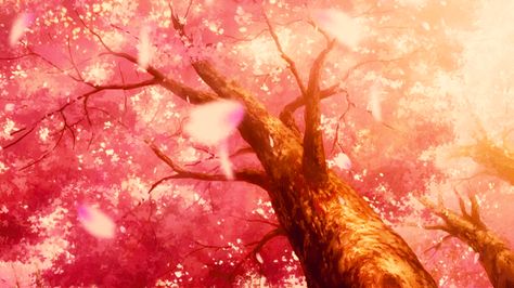 Absolute Duo: Sakura | Scenery Anime Cherry Blossom, Absolute Duo, Gif Background, Animated Banners, Dc Icons, Cute Headers, Sakura Tree, Banner Gif, Animation Background