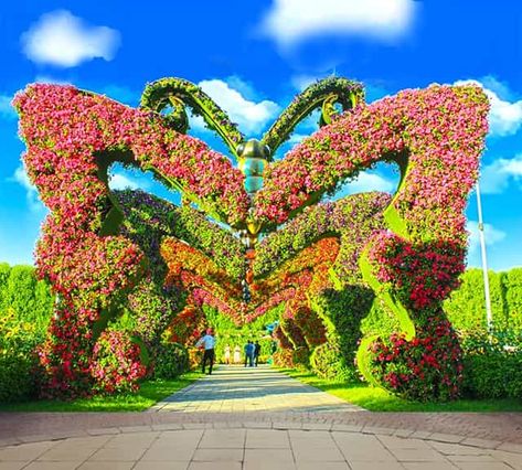 The Butterfly Passage is the passage of arches which resemble just like the wings of the butterflies. This passage had at least 6 arches of butterflies. French Garden Design, Million Flowers, Potted Geraniums, Sour Diesel, Country Garden Decor, Miracle Garden, Lush Lawn, French Country Garden, Visit Dubai