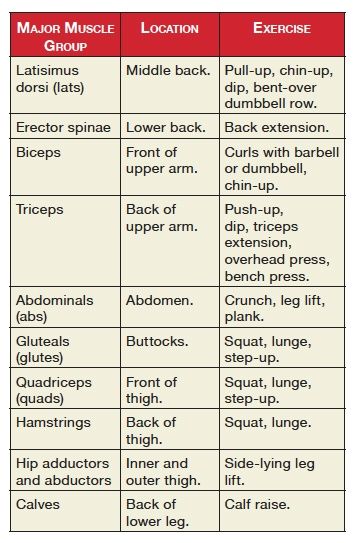 Pectoral Exercises for Women at Home.. Pec Press= lay down lift weights straight up.. Modified Push-up= cross legs  bend at knee for push-up.. Isometric Chest Contractions= hand towel in front of you, pull and hold for 1min. rest for 30 sec. Pectoral Exercises, Gym Business, Weight Room, Fitness Facts, Lift Weights, Muscle Anatomy, Major Muscles, Gym Fits, Different Exercises