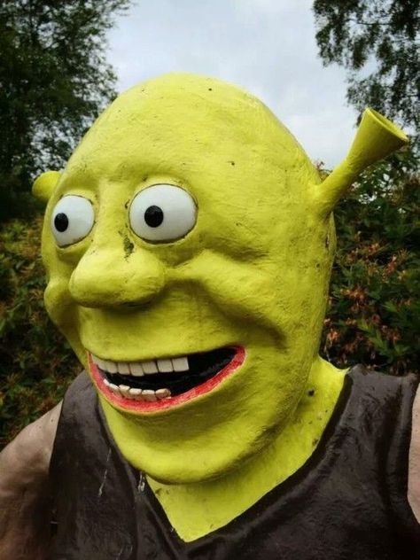 Shrek Funny, Shrek Memes, Funny Photo Memes, Image Meme, Memes Of The Day, Boyfriend Memes, Comic Sans, It Goes On, Funny Profile Pictures