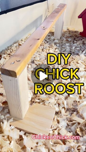 Kathy, The Chicken Chick®️ on Instagram: "Chicks NEED a roost! If you want them sleeping on roosts in the Big Girl Coop, train ‘em early!  Make this Easy Chick Roost with scrap wood in 20 minutes or less!  More brooder essentials on my website at this link!—> https://bit.ly/2CEjsNe  🐥 🐥 🐥 #backyardchickens  #petchickens #chickens #chickenkeeping #chickenyard #chicks #chickdays #babychicks #roost #perch" Chick Brooder, Chicken Perches, Chicken Brooder, Chicken Roost, Easy Chicken Coop, Building A Retaining Wall, Diy Chicken Coop Plans, Chicken Bird, Backyard Chicken Farming