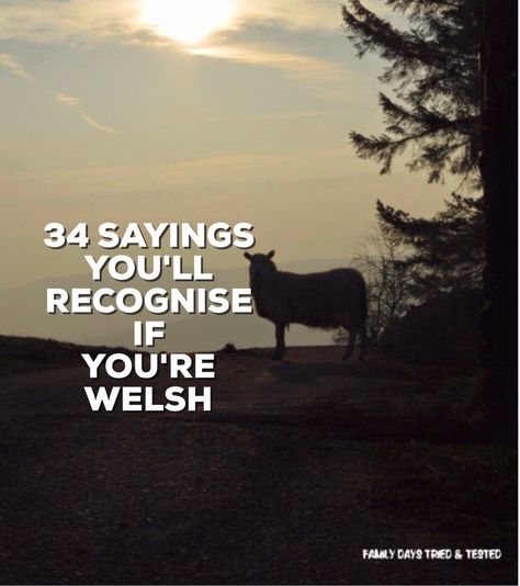 34 Sayings You'll Recognise If You're Welsh - Family Days Tried And Tested Welsh Sayings Quotes, Welsh Quotes, Welsh Proverbs, Welsh Aesthetic, Welsh Magic, Welsh Symbols, Welsh Tattoo, Celtic Spirituality, Welsh Sayings