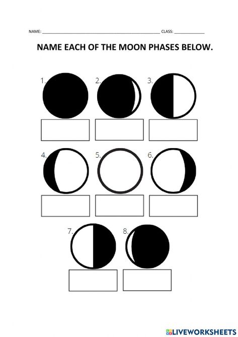 Phases Of The Moon Worksheet, Moon Phases Worksheet, Moon Worksheet, 2nd Grade Spelling Words, Graphing Functions, Spelling Words List, Classroom Preparation, 2nd Grade Spelling, Improve Reading Comprehension