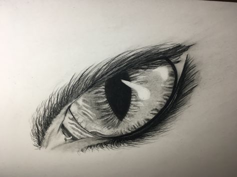 Cat Eyes Tattoo Realistic, Cats Eye Tattoo, Cat Eye Tattoo Realistic, Cat Eyes Tattoo, Cat Eye Tattoo, Eye Tattoo Realistic, Werewolf Eyes, Cat Tats, Cat Eye Tattoos