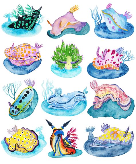 A collection of colourful nudibranchs! Marine Tattoo, Animal Study, Sea Slug, Sea Art, Slug, Book Projects, Science Art, Animal Planet, Color Tattoo