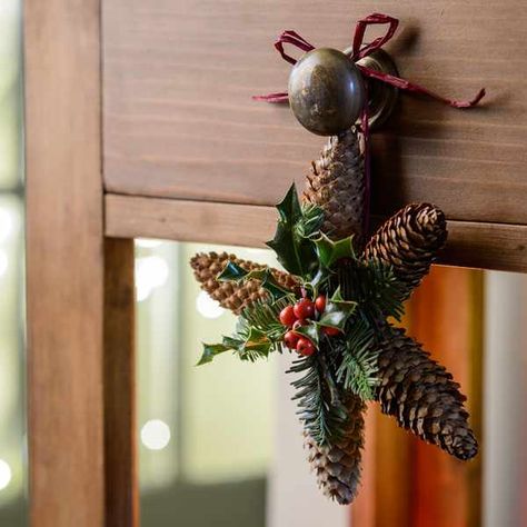 Star Garland Diy, Delosperma Cooperi, Diy Christmas Door Decorations, Gardeners World, Diy Christmas Door, Pine Cone Art, Diy Pinecone, Cones Crafts, Stars Craft