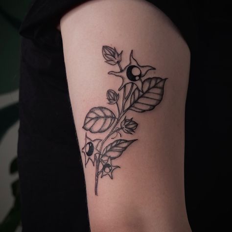 Belladonna flower branch for the lovely Lucy ♡ thank you so much for trusting me for your first tattoo! 🥹 — bookings are open for November and December ✨ you can check my highlights under “availability” to check out all my available dates and “wannados” for all my available flash tattoos ✨ . . . #botanictattoo #floraltattoos #flowertattoo #floraltattooartist #botanicaltattooartist #dublin #dublintattooartist #tattoodublin #dublintattoo Belladonna Tattoo, Belladonna Flower, Tattoo Dublin, Pinned Post, Flash Tattoos, Botanical Tattoo, Tattoo Flash Art, Instagram Highlights, Flower Branch