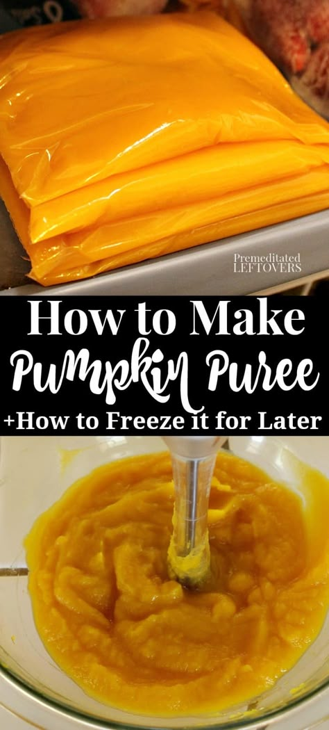 Preparing Pumpkin Puree, How To Cook Fresh Pumpkin In The Oven, Recipes For Pumpkin Guts, How To Freeze Pumpkin Puree, How To Freeze Pumpkin, Freezing Pumpkin Puree, What To Make With Pumpkin Guts, How To Use Pumpkin Guts, How To Roast A Pumpkin