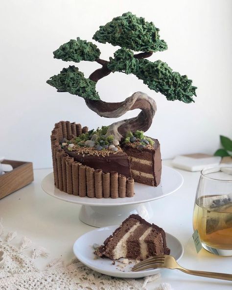 Koi Cake, Magical Trees, Chocolate Work, Food Story, Amazing Food Videos, Book Cake, Tree Species, Tree Cakes, Clay Inspiration