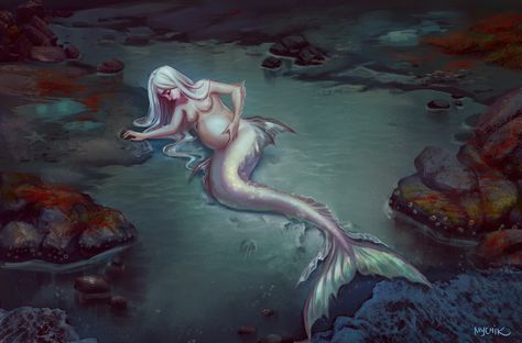 Pregnant Mermaid, Mermaid Anime, Mermaid Pose, Mermaid Man, Mermaid Images, Mermaid Artwork, Life Under The Sea, Siren Mermaid, Humanoid Creatures