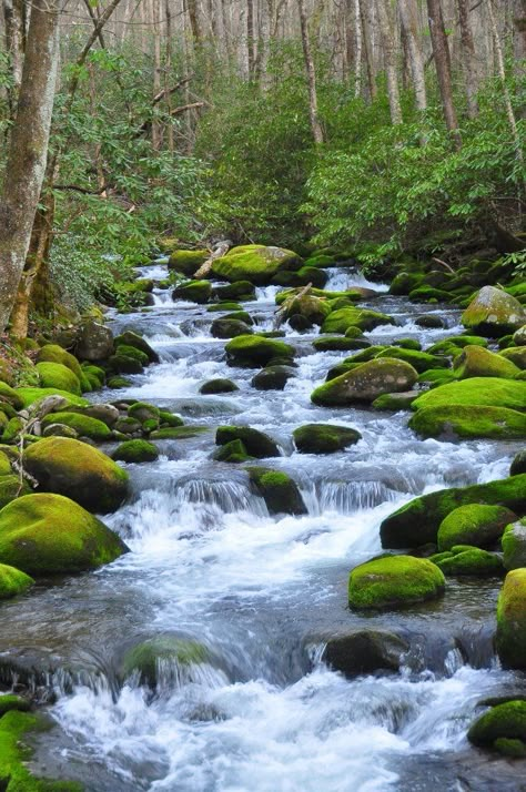 Waterfall Scenery, Smoky Mountains Cabins, On The Rocks, Beautiful Waterfalls, Jackson Hole, Beautiful Places In The World, Gatlinburg, Smoky Mountains, Most Beautiful Places