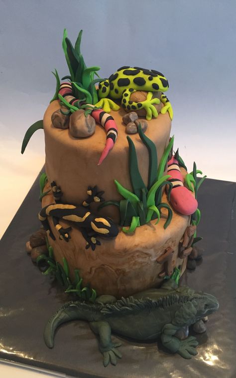 Grass Cake Ideas, Lizard Birthday Cake Ideas, Lizard Birthday Cake, Lizard Cake Ideas, Reptile Cake Ideas, Reptile Cakes For Boys, Reptile Birthday Cake, Reptile Party Ideas, Reptile Cake