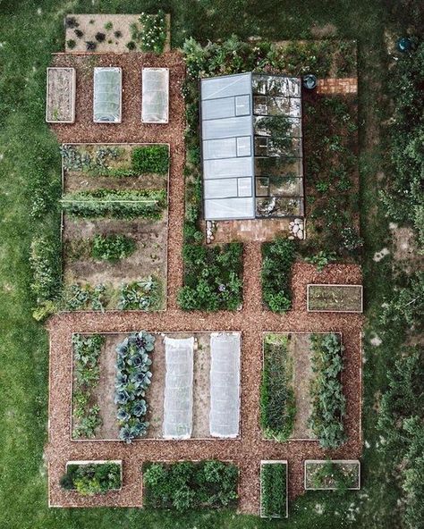 Garden Layout Vegetable, Cottage Garden Design, Vegetable Garden Design, Before And After Pictures, Gardening Supplies, Garden Layout, Fermenting, Veggie Garden, Garden Cottage