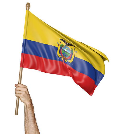 Flag Of Ecuador, Ecuador Flag, Historia Universal, Ecuador, South America, Peru, Wind Sock, Profile Picture, Bra