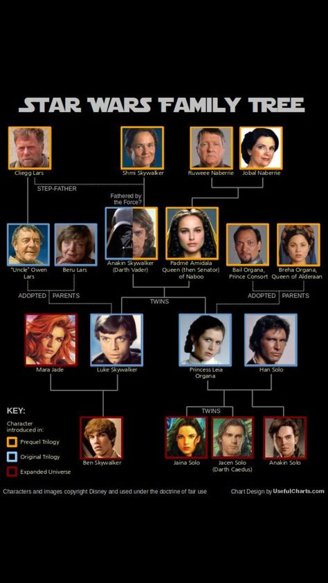 Star Wars Family Tree, Royal Lineage, Star Wars Timeline, Mara Jade, Star Wars Padme, Anakin And Padme, Star Wars Anakin, Star Wars Facts, Padme Amidala