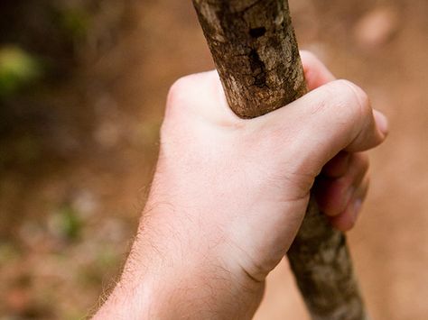 Taz Amnesty, Wood Hiking Stick, Fortune Teller Paper, Hiking Staff, Fun Projects For Kids, Adventure Zone, Wood Burning Tool, Wooden Walking Sticks, Walking Sticks And Canes