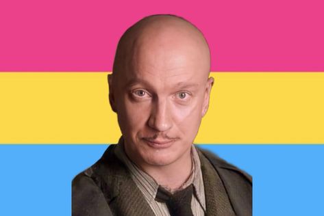 Remus Lupin Pfp, Remis Lupin, Baldie Baddie, Lupin Harry Potter, David Thewlis, Remus Lupin, The Marauders, Fantastic Beasts, Harry Potter