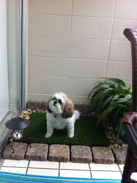 Small Dog Area In Apartment, Pet Patio Ideas, Outdoor Dog Toilet Area, Balcony Ideas For Dogs, Apartment Dog Potty Balconies, Apartment Patio Ideas For Dogs, Dog Patio Ideas Apartment, Dog Balcony Apartment, Dog Area In Apartment