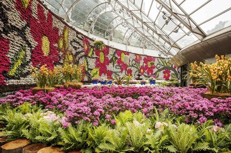 Buy from more than 18,000 plants at the Royal Botanic Gardens All about Flowers Plant Sale. Royal Botanic Gardens Sydney, Flower Garden Layouts, Garden Planning Layout, Garden Mulch, Flowers Australia, Royal Botanic Gardens, Garden Posts, Royal Garden, Garden Images