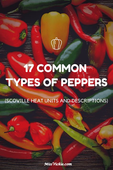 Hot Pepper Chart, Long Green Peppers, Types Of Chili Peppers, Growing Hot Pepper, Sweet Banana Peppers, Habanero Chili, Chilli Plant, Types Of Peppers, Growing Peppers