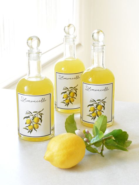 Making Limoncello Centsational Style, Glass Liquor Bottles, Making Limoncello, Limoncello Recipe, Spring Vases, Glass Beverage Dispenser, Large Glass Jars, Cloud Craft, Summer Eats