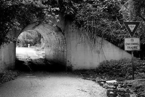 Bunnyman Bridge- In the early 1900s there was an asylum in Clifton VA. One day a bus carrying residents of the asylum crashed on what is now called, Bunnyman Bridge. There were 2 escapees. While looking for them, the police kept finding half-eaten rabbit carcasses. They thought an escapee was responsible and called him the Bunny Man, but he was never found. One Halloween some local teens were found hanging from the bridge. And 3 more people were found in the 1970's, murdered on the bridge. Bunnyman Bridge, Disneyland Opening Day, Qantas Airlines, The Graveyard Book, The Asylum, Unsolved Mystery, Bunny Man, Urban Legend, Scary Stuff