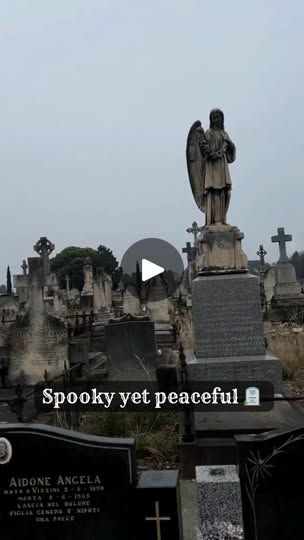 4.6K views · 1.4K reactions | Spooky yet peaceful 🪦 

Video Credit: Nadiaviverit

#halloweenvibes #halloweenfun #halloweenparty #halloween2024 #spooktacular #spookyseason2024 #halloweenspirit #witchcraft #witchesofinstagram #haunting #ghoststories #ghosthunting #creepy #scary #fallfashion #autumnvibes #autumnleaves #pumpkinpatch #pumpkinspice #jackolanterns2024 #hauntedplaces #spookymakeup #witchywoman #witchesbrew #fullmoonvibes #harvestmoon #mystical #occult #paranormal #hocuspocus | Halloween Vibes Halloween Vibes, Halloween 2, Ghost Hunting, Witches Brew, Haunted Places, Witchy Woman, Harvest Moon, Video Credits, Ghost Stories