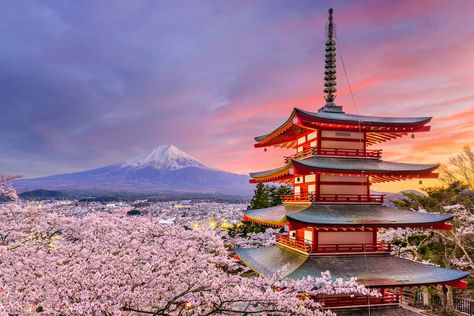 15 of the most beautiful places to visit in Japan | Boutique Travel Blog Japan Wallpaper, Beautiful Places In Japan, Day Trips From Tokyo, Japan Holidays, Monte Fuji, Mont Fuji, Yamanashi, Yamagata, Gunma