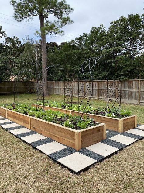 Long Raised Garden Bed, Raised Garden Bed Walkway, Vego Garden Layouts, Garden Bed Layout Ideas, Rooted Garden, Bed Installation, Raised Garden Designs, Raised Garden Boxes, Beautiful Raised Garden Beds