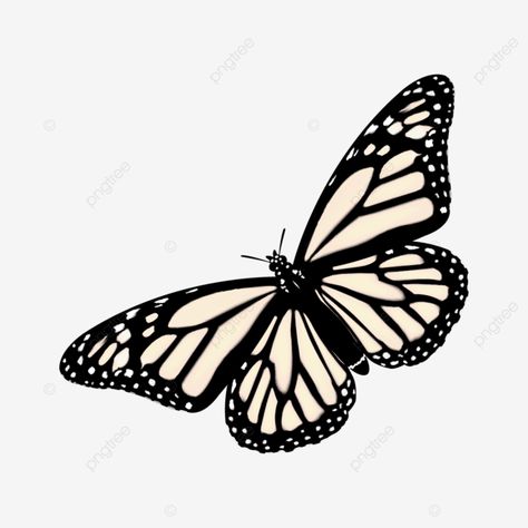 butterfly flying black yellow vector beautiful butterfly to fly png Graphic Design 101, Butterfly Flying, Butterfly Cute, Design 101, Butterflies Flying, Png Transparent Background, Beautiful Butterflies, Business Flyer, Png Transparent