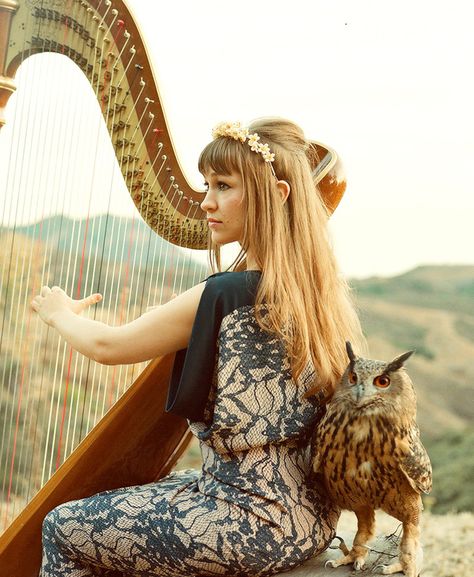 Joanna Newsom / Wren (& Bert, eagle owl) Sandy Denny, Joanna Newsom, Cover Video, Celtic Harp, Harps Music, The Harp, Harbin, Folk Music, Music Love