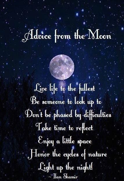 Full Moon Quotes, Moon In The Night Sky, Moon Quotes, Stay Wild Moon Child, Moon Cycles, Moon Magic, Night Quotes, The Night Sky, Good Night Quotes