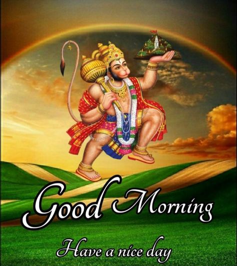 Tuesday Wishes, Good Morning Gif Images, Gud Morning Images, Morning Gifs, Good Morning Clips, Lovely Good Morning Images, Good Morning Happy Saturday, Good Morning Beautiful Gif, Cute Good Morning Images