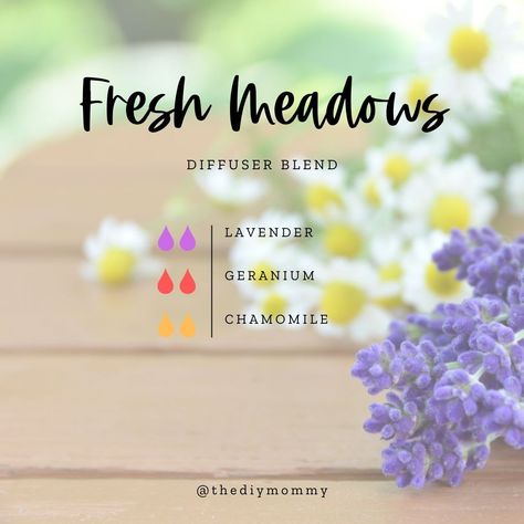 Essential Oils for Spring: Best Diffuser Blend Recipes | The DIY Mommy Spring Cleaning Essential Oil Blend, March Essential Oil Blends, Spring Oil Diffuser Blends, Spring Essential Oil Blends, Spring Diffuser Blends, Pioneer Living, Summer Essential Oils, Scentsy Oils, Best Diffuser