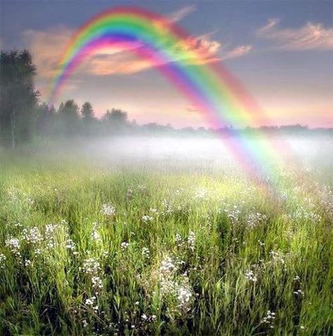 Rainbows Bridge Video, Rainbow Photo, Rainbow Rain, God's Promise, Rainbow Magic, Rainbow Sky, Love Rainbow, Color Guard, Pot Of Gold