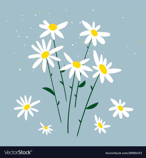 Daisy Vector Illustration, Daisy Illustration Simple, Birthday Poems For Boyfriend, Chamomile Illustration, Chamomile Bouquet, Blue Background Design, Bouquet Of Daisies, Pushing Daisies, Health Care Products