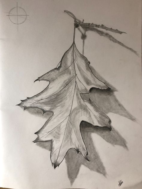 Drawing in pencil; still life drawing Pencil Still Life Drawing, Pencil Still Life, Leaf Lessons, Life Is Fleeting, Shading Ideas, Watercolour Leaves, Leaves Sketch, Shading Drawing, Shadow Drawing