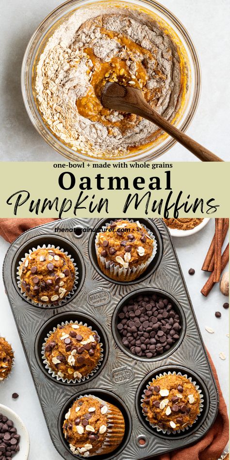 Pumpkin Oat Muffins Easy, Flourless Pumpkin Muffins Healthy, Pumpkin Oat Mini Muffins, Recipes To Use Up Pumpkin Puree, Oatmeal Pumpkin Bread Healthy, Oatmeal Muffins Healthy Easy Breakfast Recipes, Healthy Pumpkin Breakfast Muffins, Pumpkin Muffins With Applesauce, High Fiber Breakfast Muffins