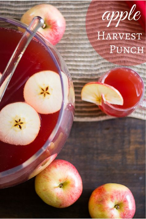 Applesauce Bars, Harvest Punch, Apple Punch, Thanksgiving Punch, Winter Entertaining, Aged Rum, Gala Apples, Punch Recipe, Fall Entertaining