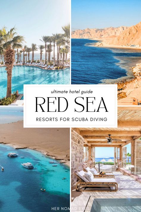 Ready for an underwater adventure? Explore the best Red Sea resorts offering top-notch scuba diving experiences, stunning views, and luxurious amenities. Discover the best places to stay in Egypt and Jordan. Sea Resort, Red Sea, Scuba Diving, Diving, Hotel