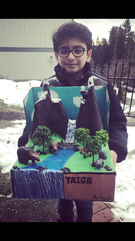 Taiga/Boreal Biome Diaroma Taiga Biome Diorama, Mountain Biome Project, Mountain Diaroma, Crafts From Greenland, Taiga Biome Project, Taiga Diorama, Biome Project Ideas, Taiga Biome, Ecosystems Diorama