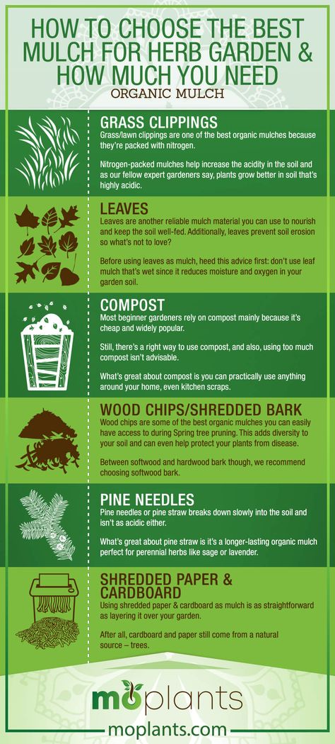 Types Of Raised Garden Beds, How To Make Mulch, Mulching Ideas, Herb Garden Tips, Reindeer Makeup, Makeup Looks Winter, Leaf Mulch, Christmas Makeup Simple, Micro Farm