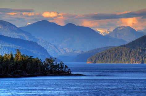 Inside Passage Alaska Images, Alaska Itinerary, Tongass National Forest, Alaska The Last Frontier, Alaska Wildlife, Indian Territory, Kenai Fjords, Granville Island, Usa Travel Guide