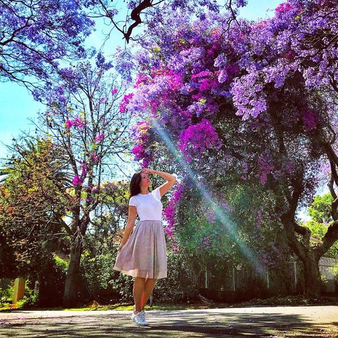 Jacaranda Tree Photoshoot, Jacaranda Photoshoot, Camera Knowledge, Princess Garden, Jacaranda Tree, Purple Tree, Tree Pose, Purple Trees, Tree Photography