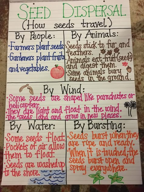 Seed Dispersal Anchor Chart Seed Science, Plants Science, Teaching Plants, Grade 3 Science, Fourth Grade Science, Science Anchor Charts, Second Grade Science, Seed Dispersal, Plants Unit