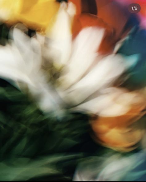 Abstract Floral Photography, Abstract Flower Photography, Scanned Flowers, Blurry Flowers, Blurred Flowers, Blurred Aesthetic, Icarus Fell, Wildflowers Photography, Fluid Movement