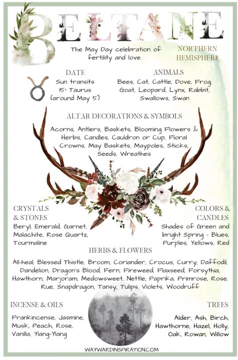 Wicca Holidays, Wiccan Sabbats, Magia Das Ervas, Wicca Witchcraft, Baby Witch, Spring Equinox, Modern Witch, Beltane, Green Witch