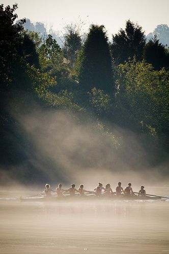 Rowing Photography, Rowing Sport, Foggy Lake, Craig Morgan, Rowing Crew, Rowing Workout, Rowing Club, Row Row Your Boat, Muscle Building Tips