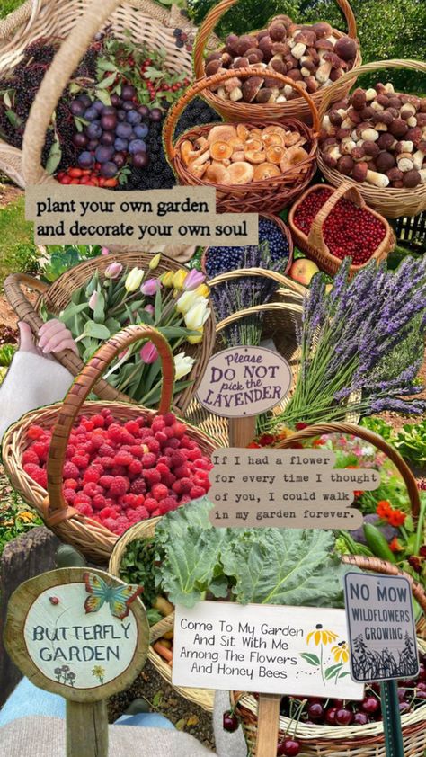 Garden aesthetic collage background gardening quotes abundance plants vegetables flowers fruit trees planting gardens inspiration Aesthetic Collage Background, Cottage Core Recipes, Crunchy Aesthetic, Quotes Abundance, Sustainable Homestead, Gardening Quotes, Plants Vegetables, Backyard Garden Layout, Future Farms